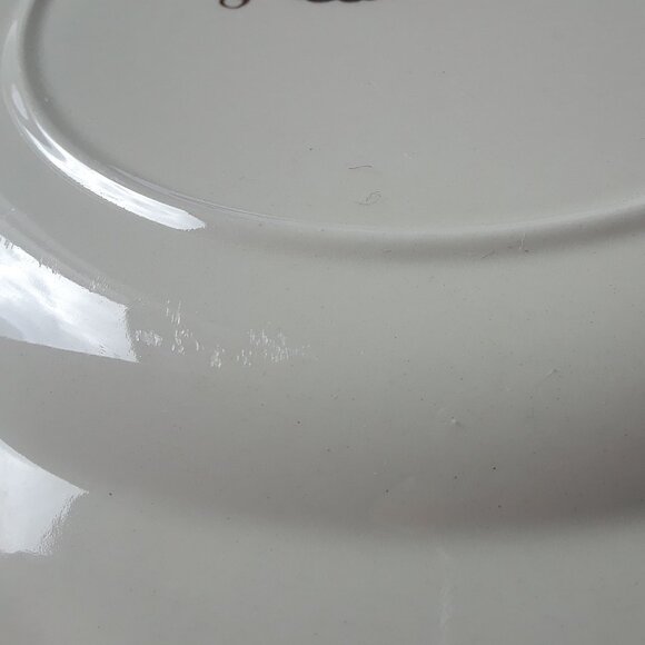 Johnson Brothers 'Wild Turkeys' Dinner Plate - Picture 11 of 11